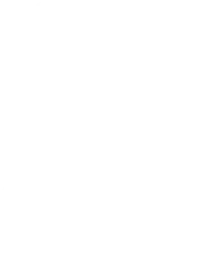 sancha flower pattern